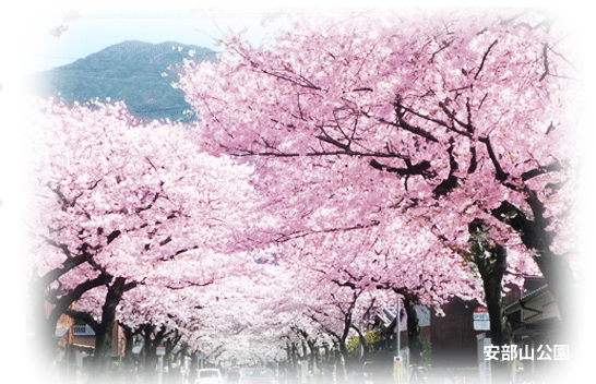 ようこそ！住みたくなる街。私たちの北九州市minami